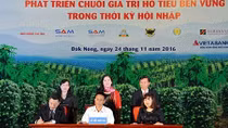 VietABank tài trợ vốn vay cho các hộ nông dân trồng hồ tiêu