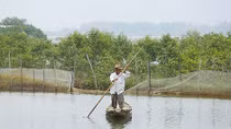 Hoang sơ miền Rú Chá