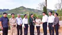 Luật An ninh mạng bảo đảm quyền, lợi ích hợp pháp của tổ chức, cá nhân