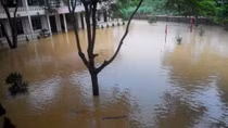 Nhiều địa phương ở Thanh Hóa cho học sinh nghỉ học vì mưa lũ