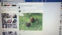Tung tin thất thiệt trên mạng: Từ “câu like” trục lợi đến bất nhẫn