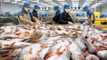 Mỹ áp thuế chống bán phá giá cá tra, tôm Việt Nam thiếu công bằng