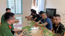 Cảnh giác với chiêu trò lừa đảo thông qua giao dịch Hoa Lan