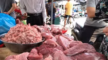 Nhập khẩu lợn sống, giá thịt lợn có “hạ nhiệt”?