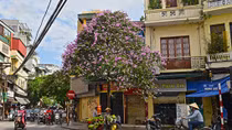 Gìn giữ nét đẹp văn hóa truyền thống với chương trình "Tôi yêu Hà Nội"