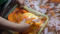 Cá chép đỏ tăng giá gấp đôi
