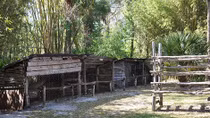 Cái chết bí ẩn của “Tarzan rừng già Florida”