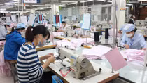 Để thành công khi xuất khẩu hàng hóa vào EU