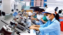 Tiến hành điều tra doanh nghiệp năm 2019