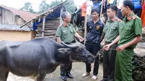 Gieo “quả ngọt” nơi phên giậu Tổ quốc