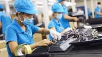 Hơn 13 nghìn trường hợp ở Quảng Trị được hỗ trợ do dịch bệnh COVID-19