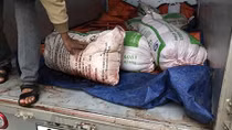 Vận chuyển gần 4 tạ nội tạng động vật không rõ nguồn gốc 