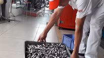 Chưa đủ căn cứ xác định bugi xe máy bị hỏng là do xăng