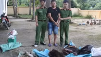 “Cắt rừng” đưa 70kg động vật hoang dã từ Lào về Việt Nam