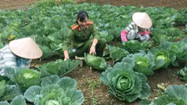 Tấm lòng vàng của một nữ quản giáo
