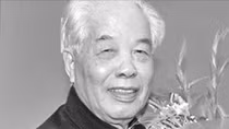 Đỗ Mười, một phong cách