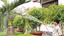 Những mô hình giúp người lầm lỗi hòa nhập hiệu quả