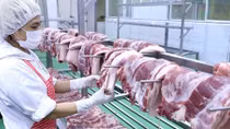 Yêu cầu giảm giá thịt lợn, không tăng giá điện