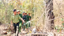 Tây Nam Bộ cảnh giác nguy cơ cháy rừng