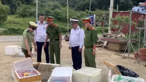 Thu giữ nửa tấn nội tạng động vật không rõ nguồn gốc