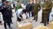 Tiêu hủy gần 300 kg nội tạng động vật bốc mùi hôi thối