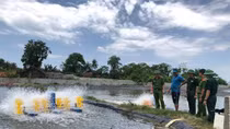 Cần có các giải pháp giảm thiểu thiệt hại về kinh tế, phục hồi tăng trưởng