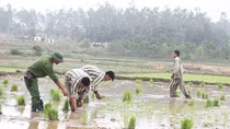 Miệt mài gieo mầm thiện