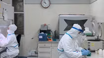 Hành trình giải mã virus Corona