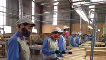 Nhiều mối lo khi FDI từ Trung Quốc vào ngành gỗ tăng vọt