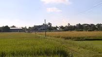 Biệt thự bí ẩn giữa cánh đồng vắng