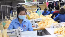 Doanh nghiệp vẫn thờ ơ, “ì” trước EVFTA