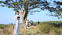 Thu hút khách du lịch từ phim “Mắt biếc”