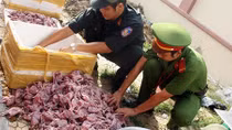  1.000 con chim cút đang phân hủy trên đường “bay” vào quán nhậu