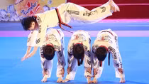 20 năm Taekwondo Việt Nam: Hành trình mang đậm khí phách Việt Nam
