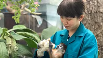 Chuyện về vườn thú 155 tuổi: Trung tâm cứu hộ và chăm sóc thú