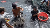Chỉ đạo của Thủ tướng về xây dựng cơ chế, chính sách, pháp luật