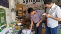 Mối nguy khi nông dân sử dụng thuốc trừ cỏ tràn lan