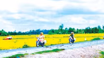 Giữ bình yên trên quê hương cố Chủ tịch Hội đồng Bộ trưởng Phạm Hùng
