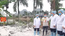 Đề xuất hỗ trợ thêm cho người chăn nuôi bị thiệt hại do dịch tả lợn châu Phi