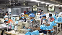 Tồn kho khẩu trang vải do khó xuất khẩu