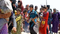 Giải phóng Fallujah, IS sắp bị đẩy ra khỏi Iraq?