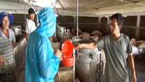 Thanh tra thú y – Nghề đặc biệt
