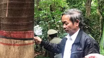 Giữ rừng bằng hương ước