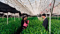 Agribank thúc đẩy tín dụng xanh cho phát triển bền vững