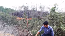 Nhận đất trồng rừng để… phá rừng