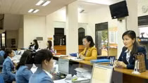 Tăng 20,7% doanh nghiệp mới do cải thiện môi trường đầu tư kinh doanh