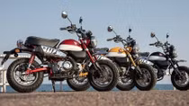 Vì sao hơn 3 vạn chiếc Honda Monkey bị triệu hồi