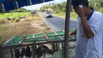 Chống săn bắt, buôn bán động vật hoang dã: Trên "nóng”, dưới than… khó đủ thứ