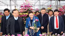 Chuyển đổi mô hình nông nghiệp truyền thống sang ứng dụng công nghệ cao