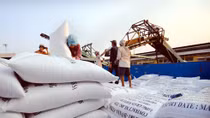 Doanh nghiệp nhập khẩu gạo của Trung Quốc đến Việt Nam giao thương
